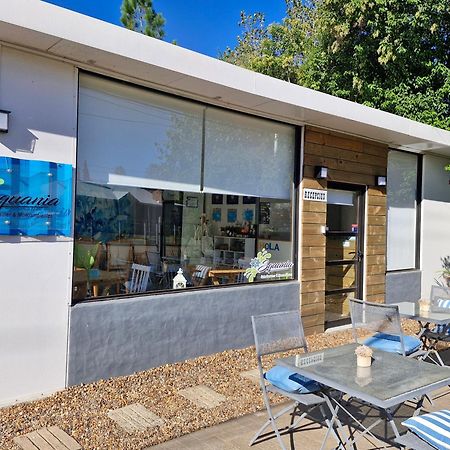 Squania Suite Container & Monoambientes Termas del Dayman Exterior photo